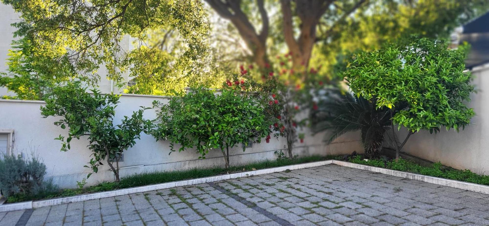 Apartments Villa Alba Ντουμπρόβνικ Εξωτερικό φωτογραφία