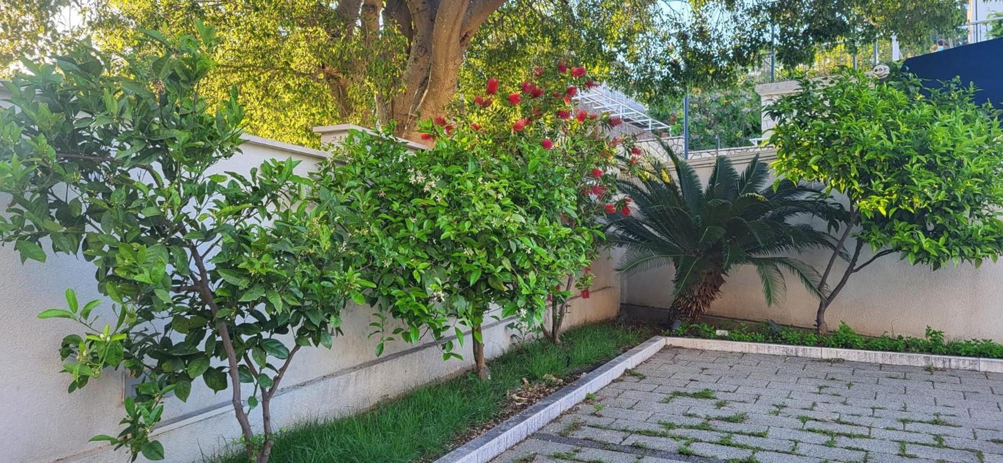 Apartments Villa Alba Ντουμπρόβνικ Εξωτερικό φωτογραφία